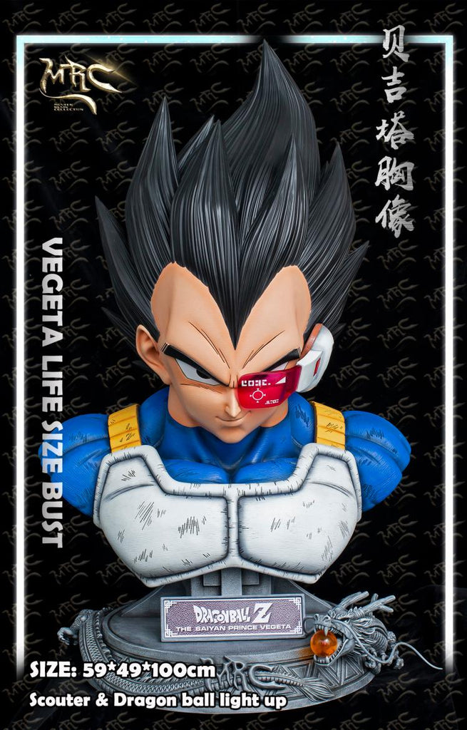 Dragon Ball Vegeta Manga Art Printed Rock Slate - Visibee