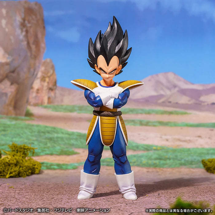 BANDAI Dragon Ball Vegeta World Tournament Super Battle Ichiban Kuji Prize A Figure