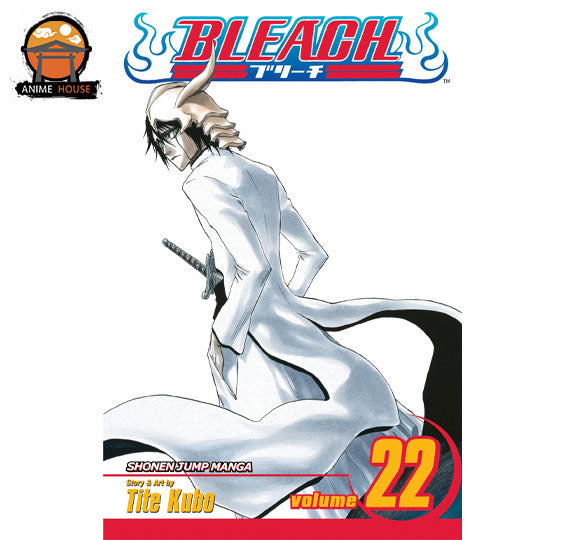 BLEACH MANGA books set