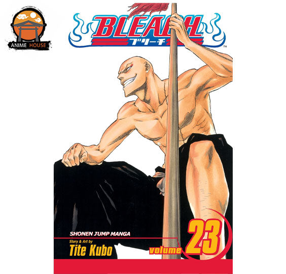 BLEACH MANGA books set