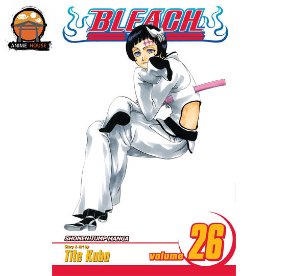 BLEACH MANGA books set