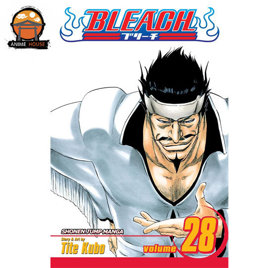 BLEACH MANGA books set