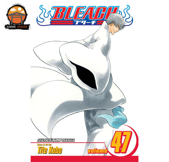 BLEACH MANGA books set