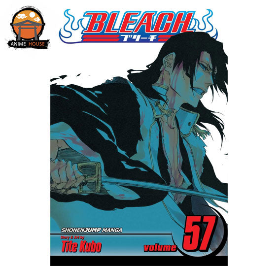 BLEACH MANGA books set