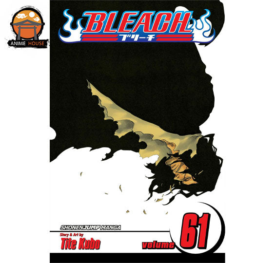 BLEACH MANGA books set