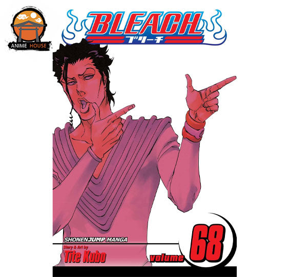 BLEACH MANGA books set