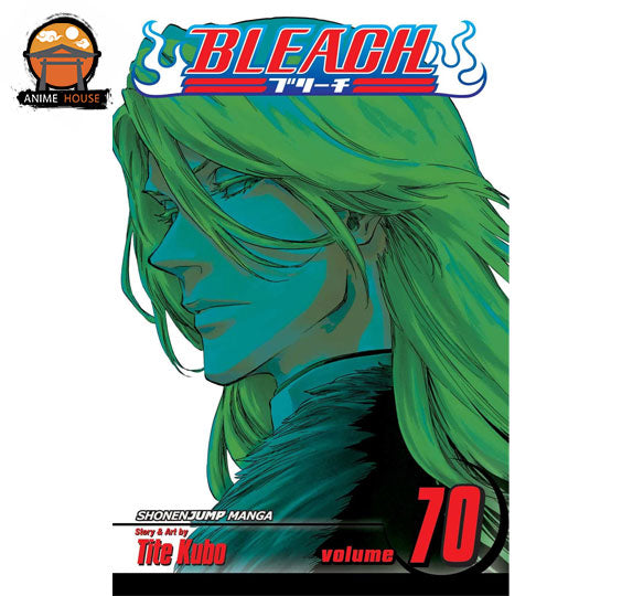 BLEACH MANGA books set