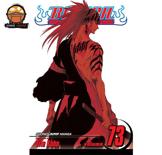 BLEACH MANGA books set