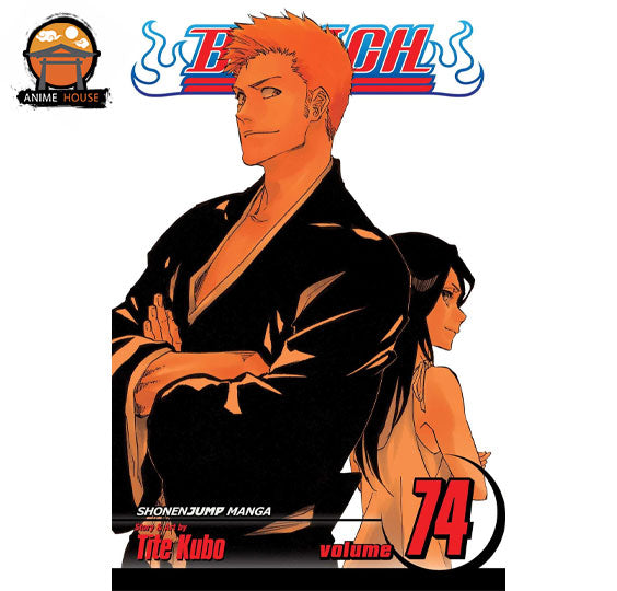 BLEACH MANGA books set